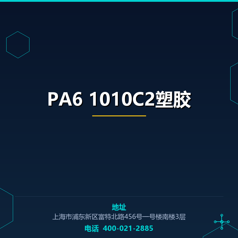 PA6 1010C2塑胶原料 None