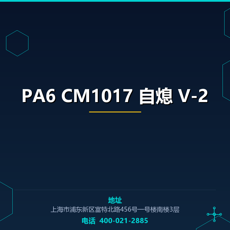 PA6 CM1017 自熄 V-2 None