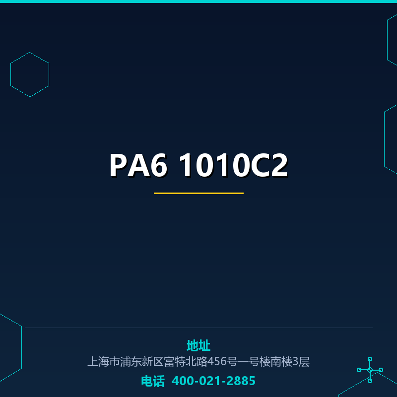 PA6 1010C2 None