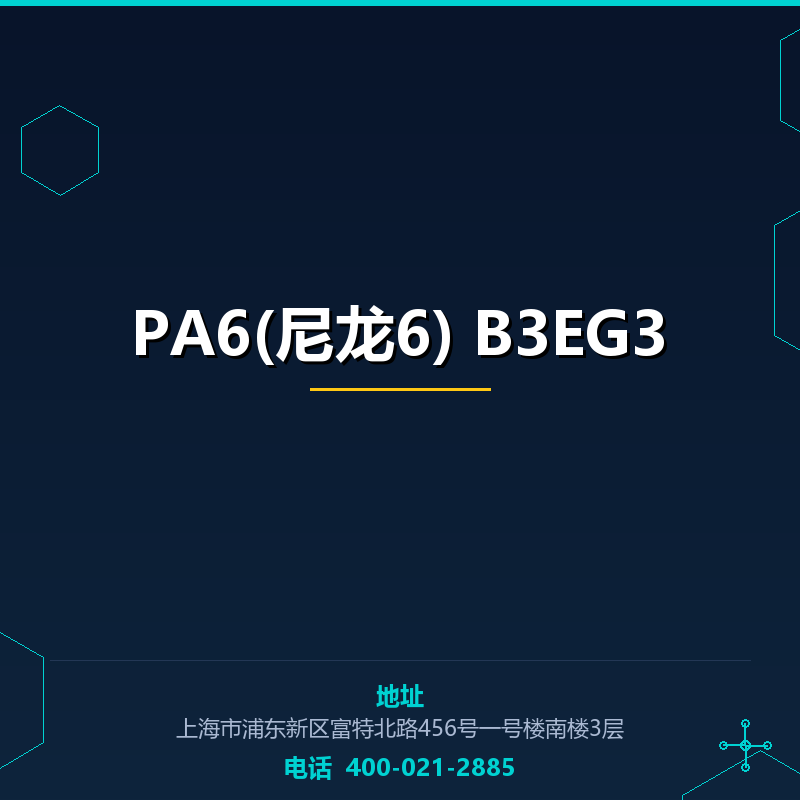 PA6(尼龙6) B3EG3 None