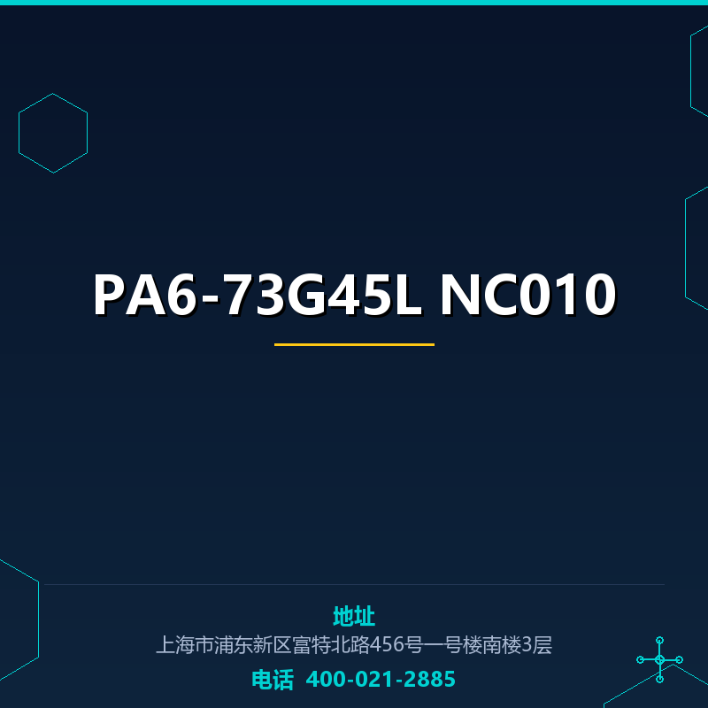 PA6-73G45L NC010 None