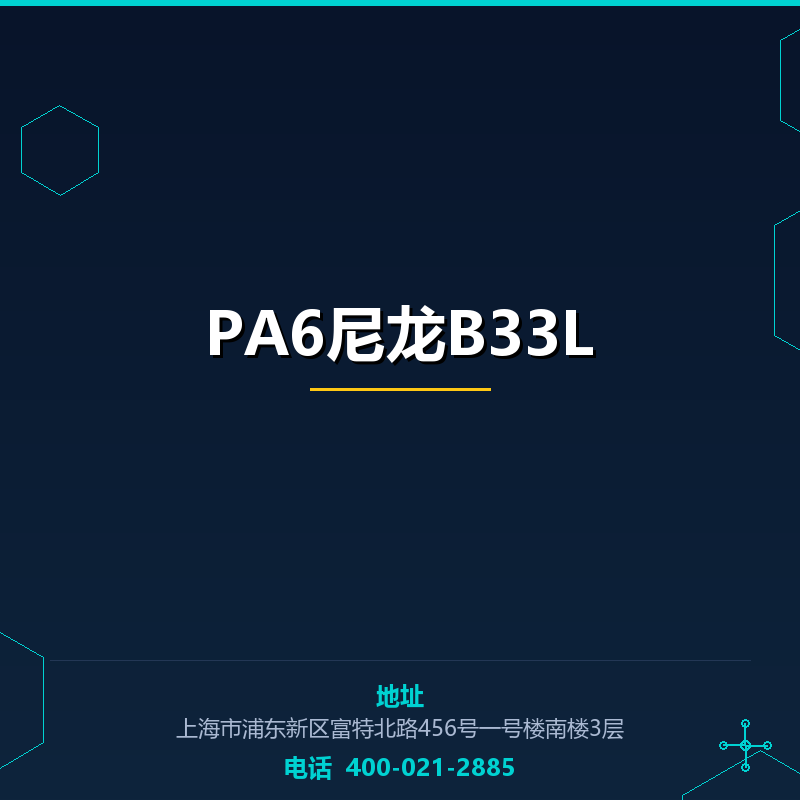 PA6尼龙B33L None