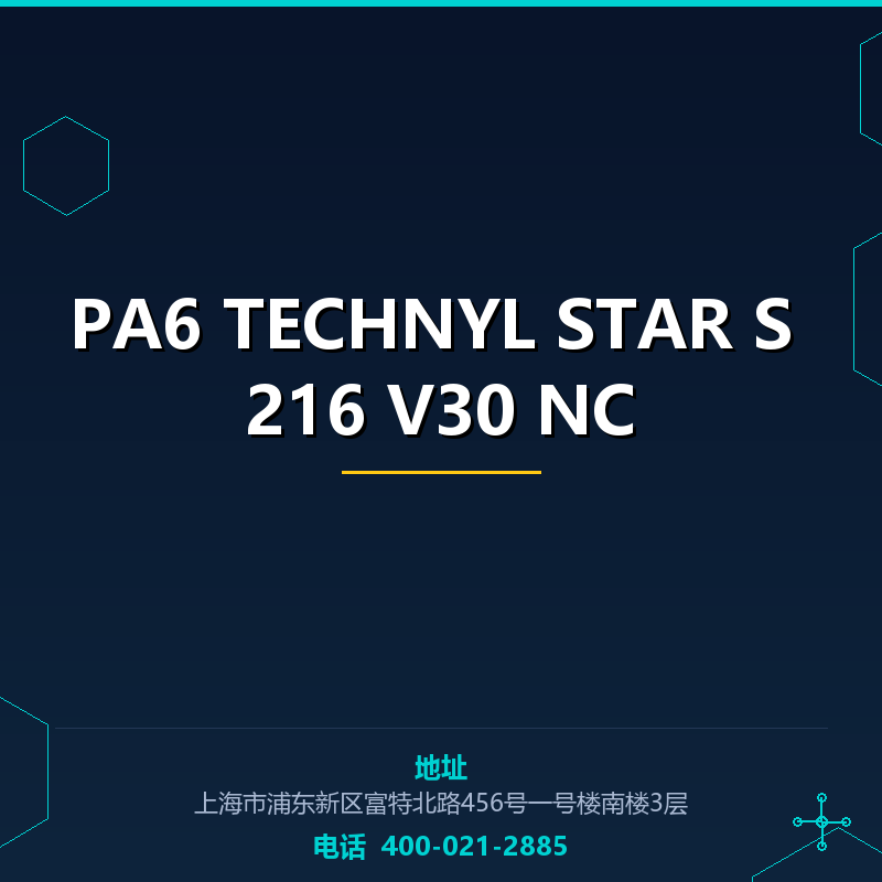 PA6 TECHNYL STAR S 216 V30 NC None