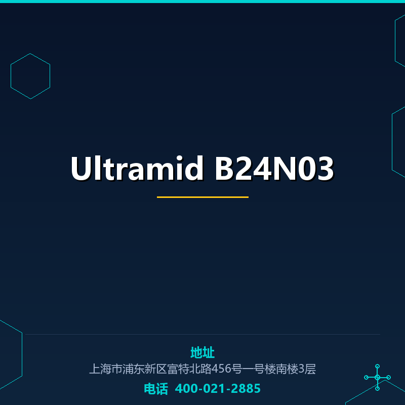 Ultramid B24N03 None