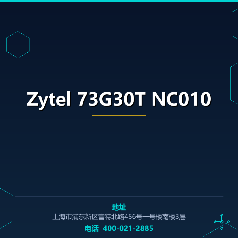 Zytel 73G30T NC010 None