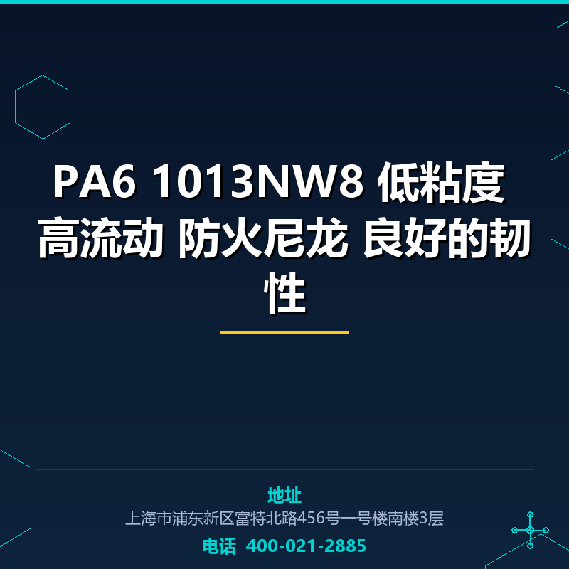 PA6 1013NW8 低粘度 高流动 防火尼龙 良好的韧性 None
