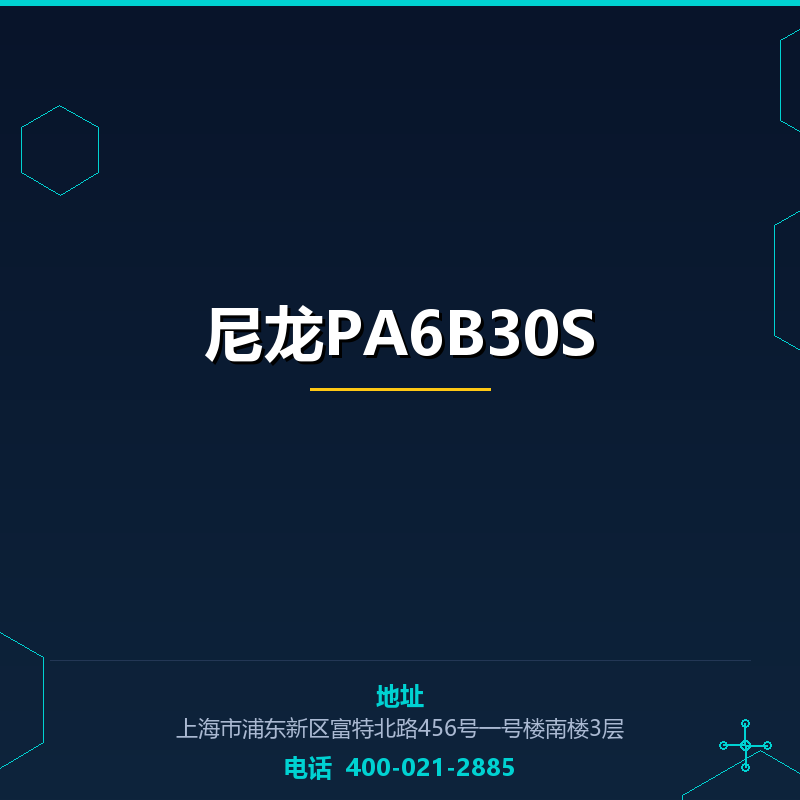 尼龙PA6B30S None