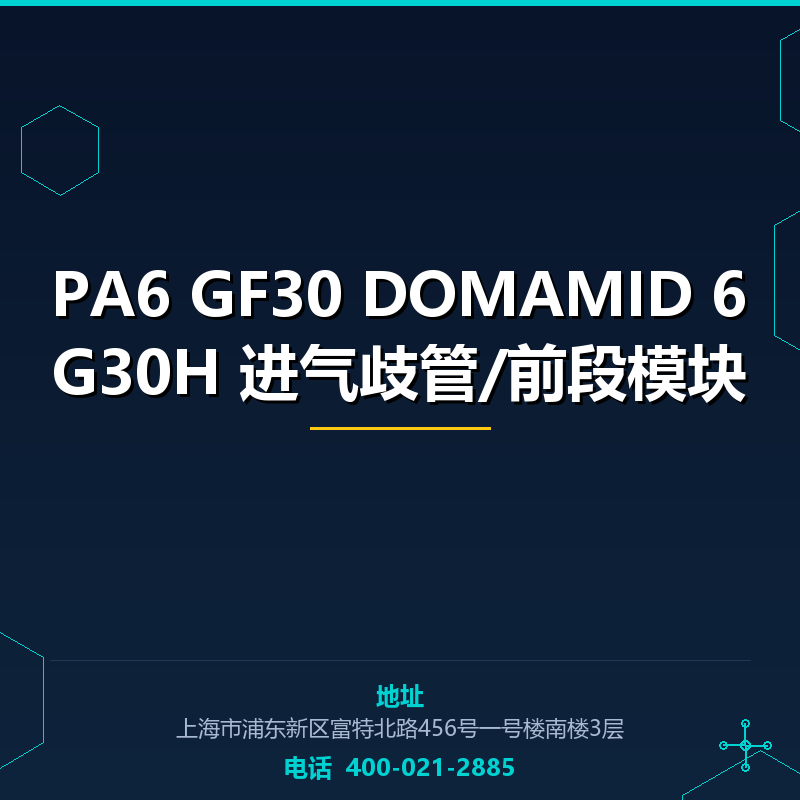PA6 GF30 DOMAMID 6G30H 进气歧管/前段模块 None