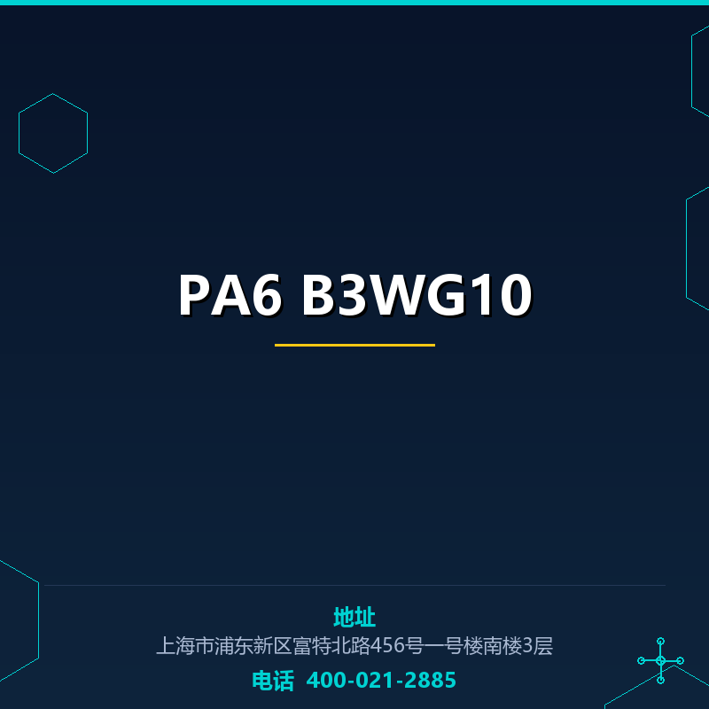 PA6 B3WG10 None