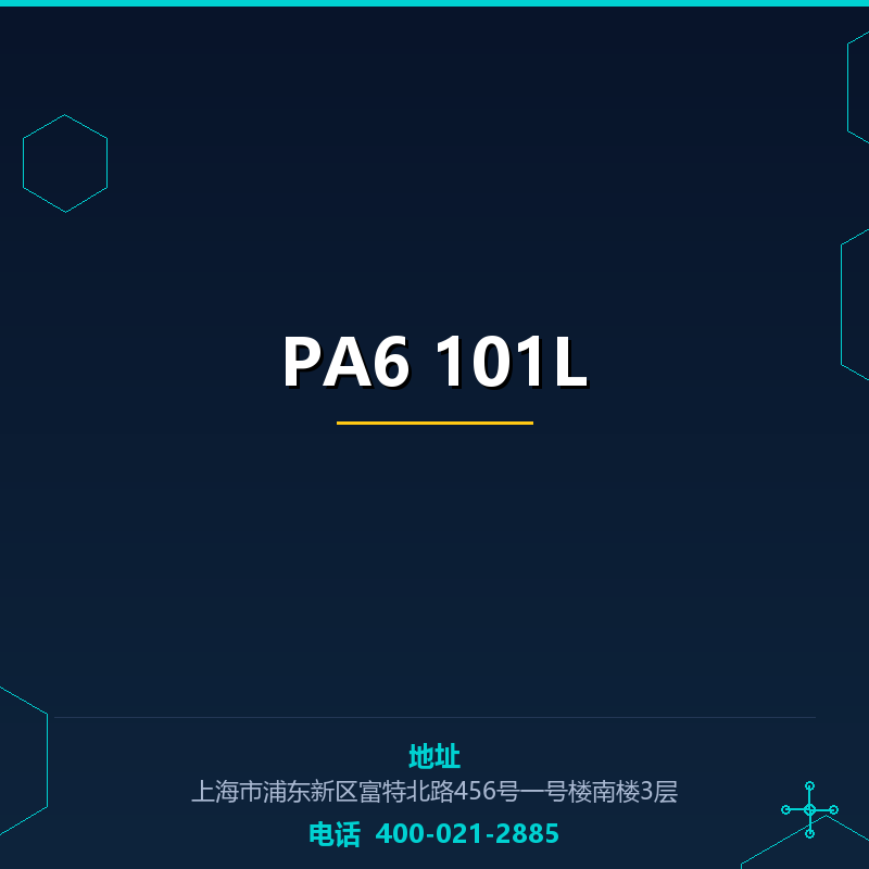 PA6 101L None