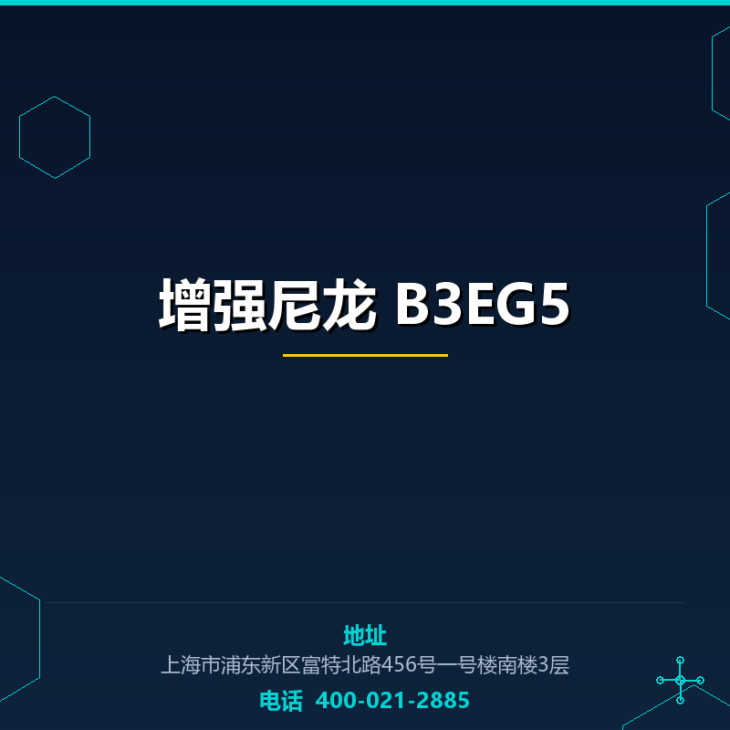 增强尼龙 B3EG5 None