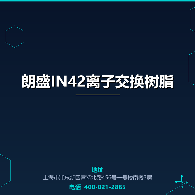 朗盛IN42离子交换树脂 None