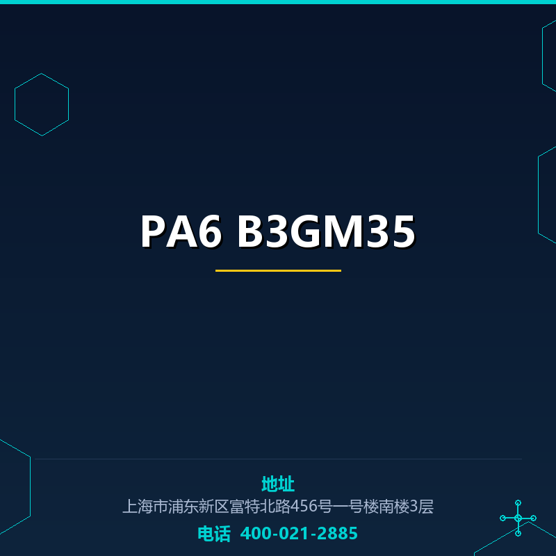 PA6 B3GM35 None