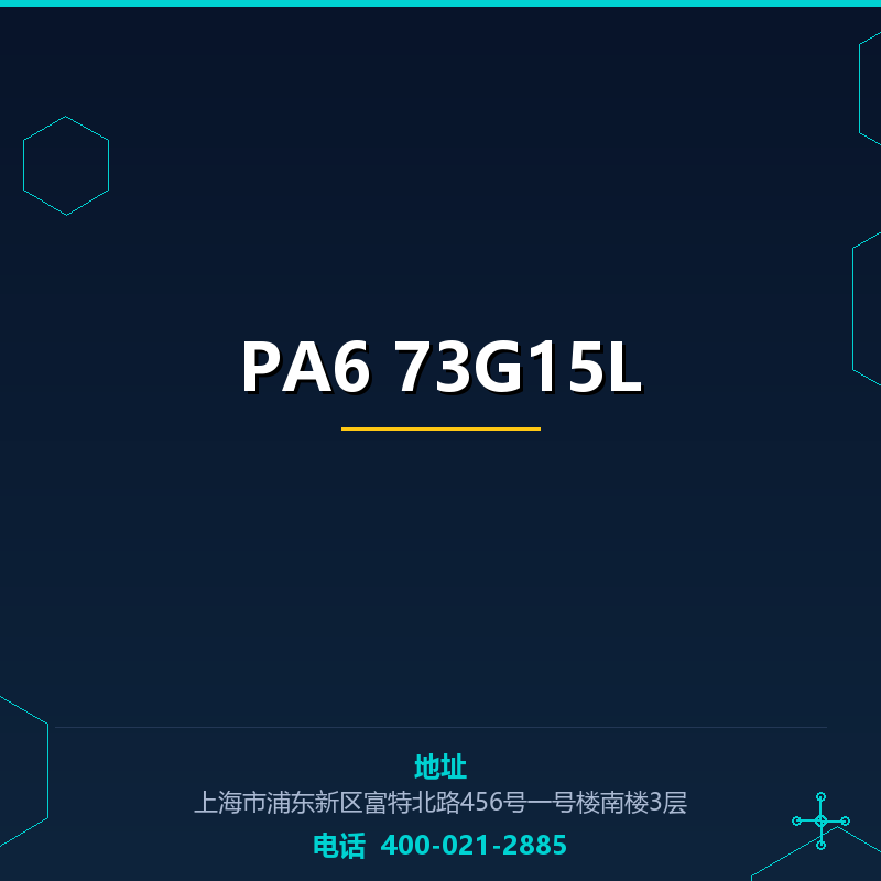 PA6 73G15L None