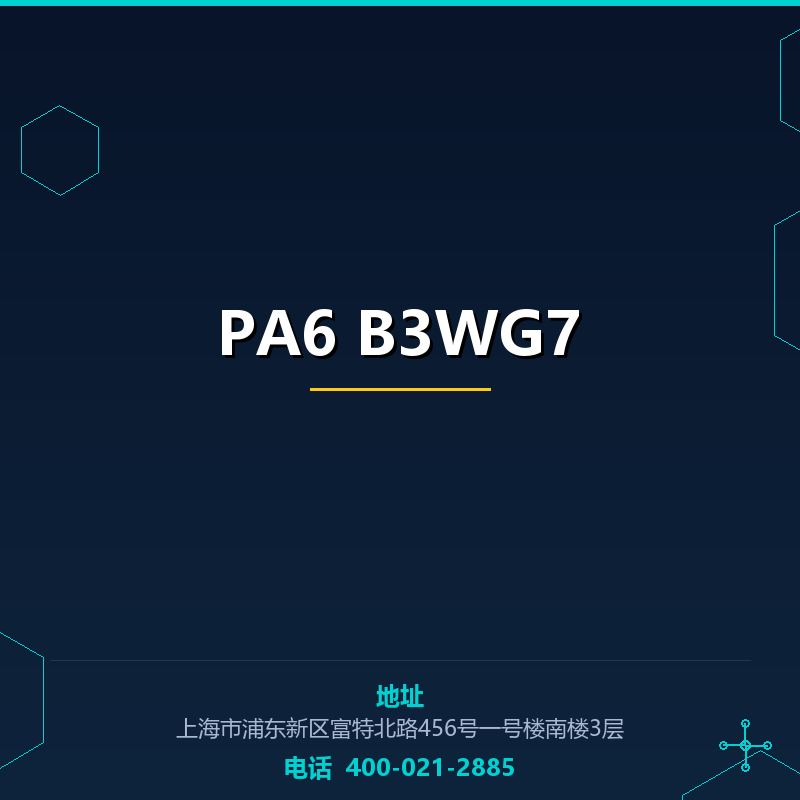 PA6 B3WG7 None