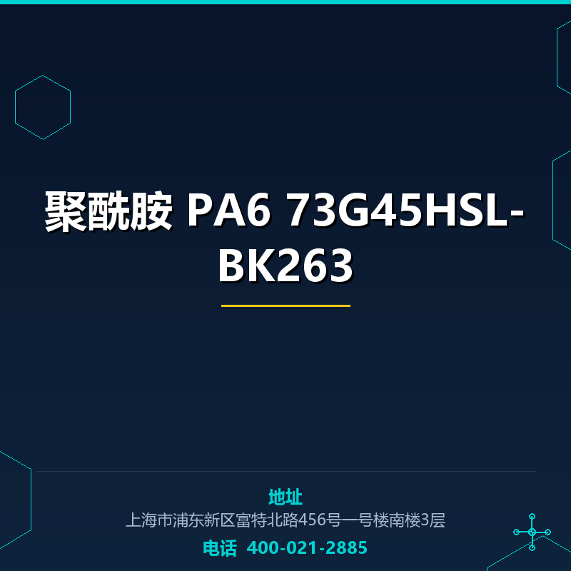 聚酰胺 PA6 73G45HSL-BK263 None
