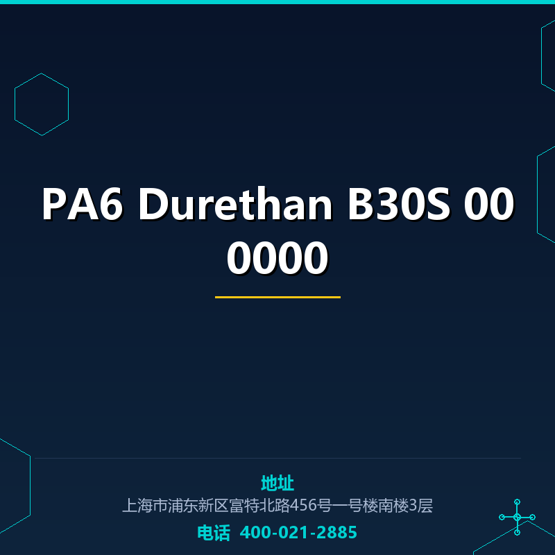 PA6 Durethan B30S 000000 None
