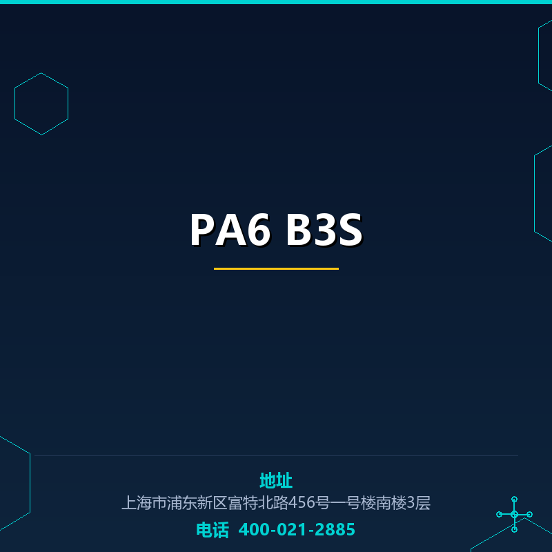 PA6 B3S None