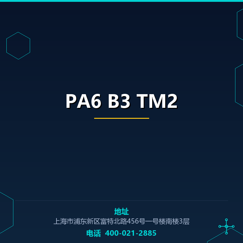 PA6 B3 TM2 None