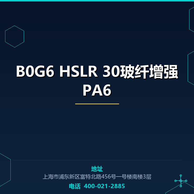 B0G6 HSLR 30玻纤增强PA6 None