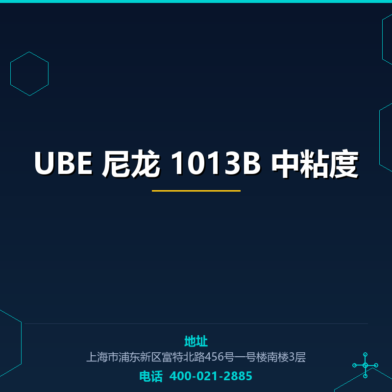 UBE 尼龙 1013B 中粘度 None