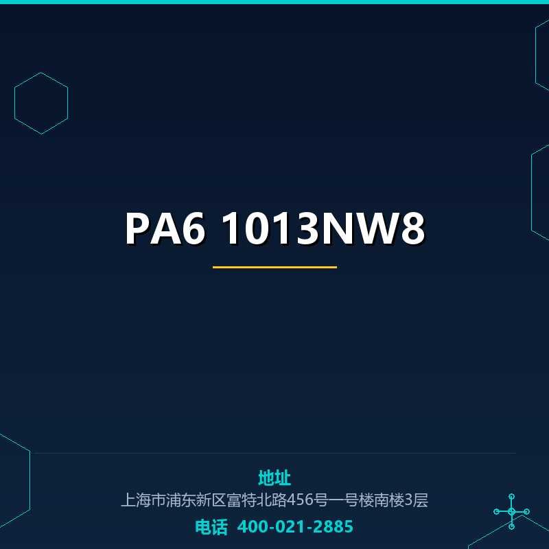 PA6 1013NW8 None