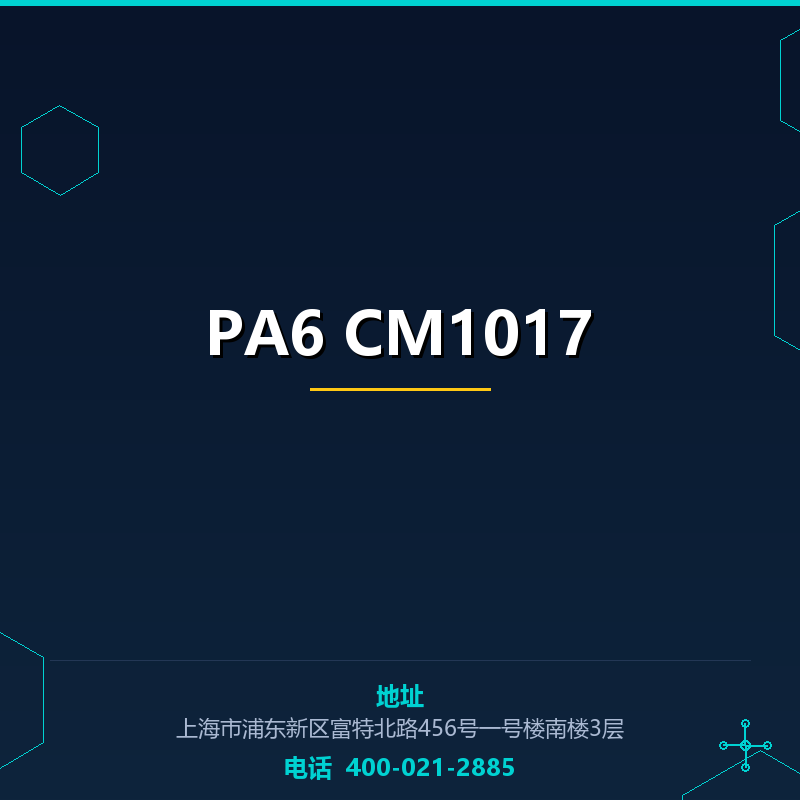 PA6 CM1017 None