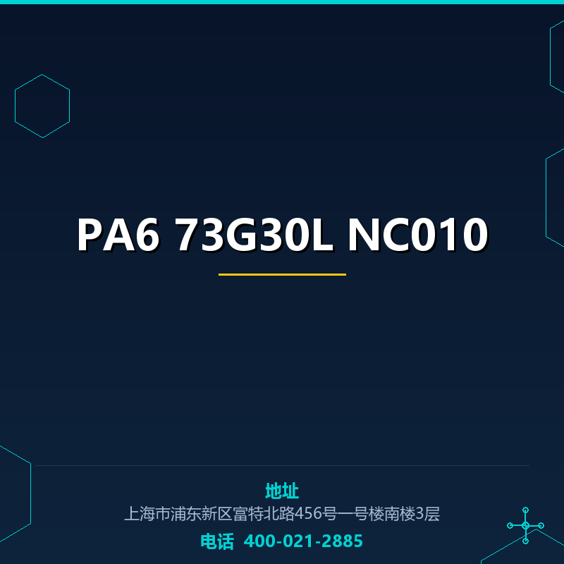 PA6 73G30L NC010 None