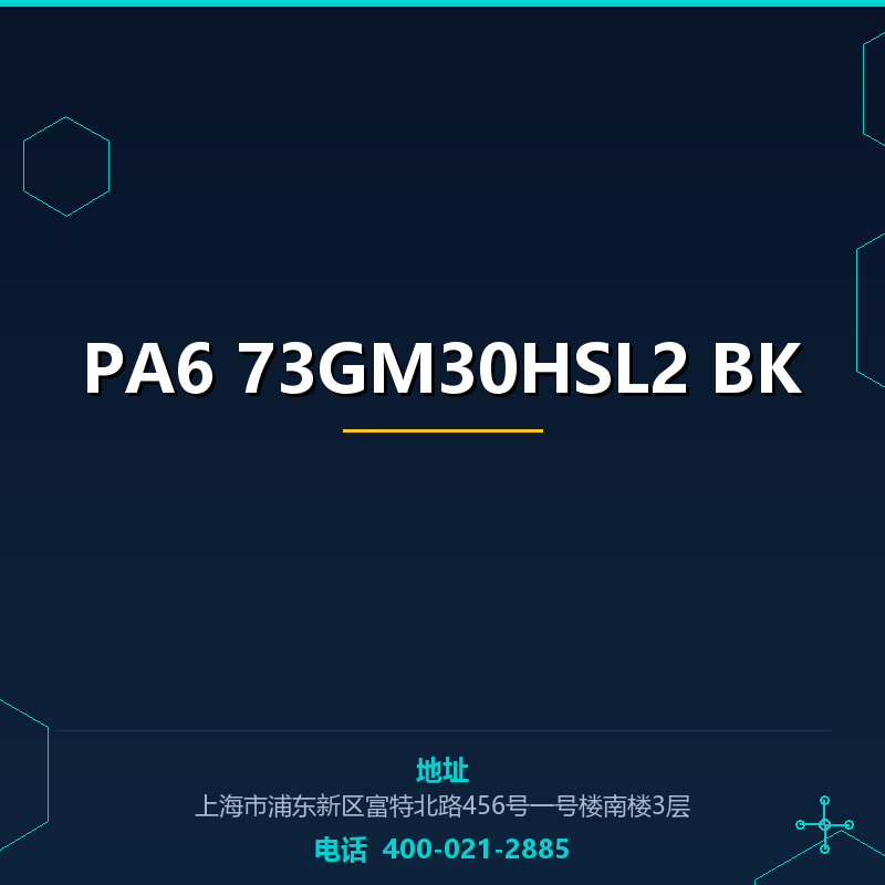 PA6 73GM30HSL2 BK None
