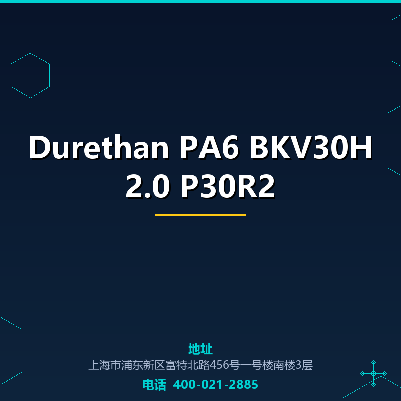 Durethan PA6 BKV30H2.0 P30R2 None