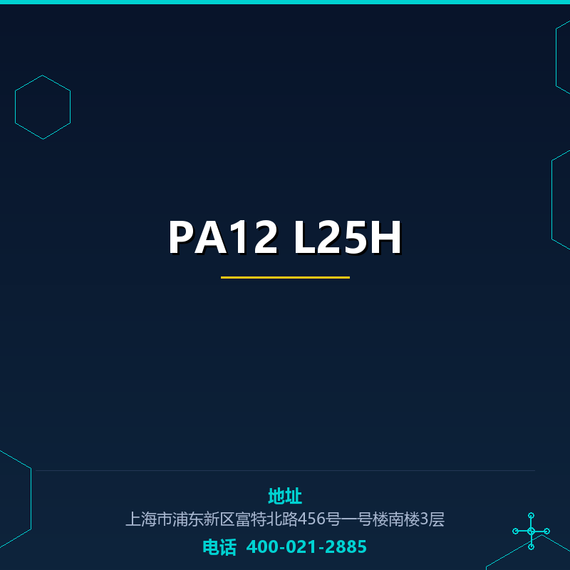 PA12 L25H None