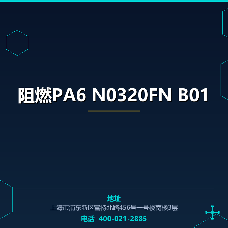 阻燃PA6 N0320FN B01 None