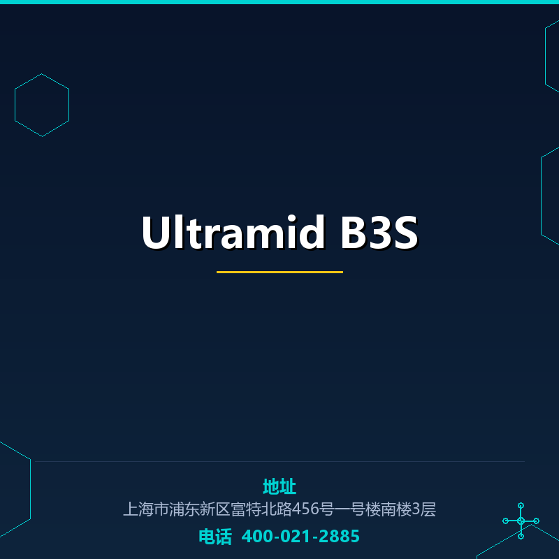 Ultramid B3S None
