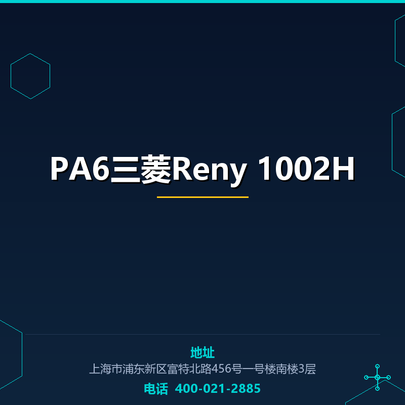 PA6三菱Reny 1002H None