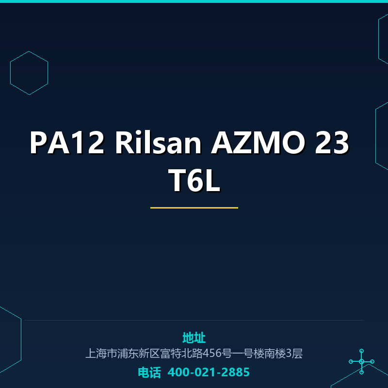 PA12 Rilsan AZMO 23 T6L None
