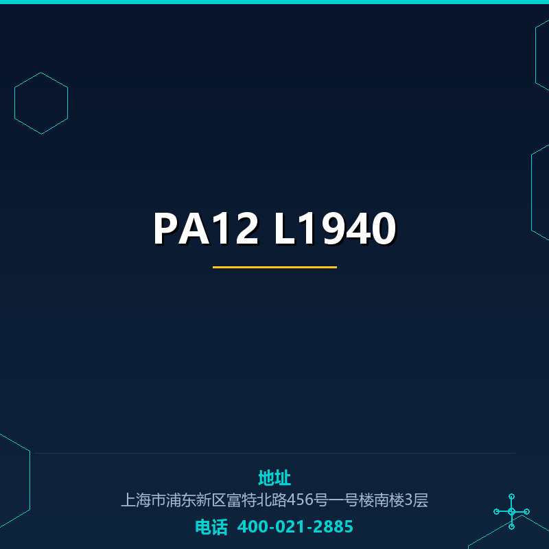 PA12 L1940 None