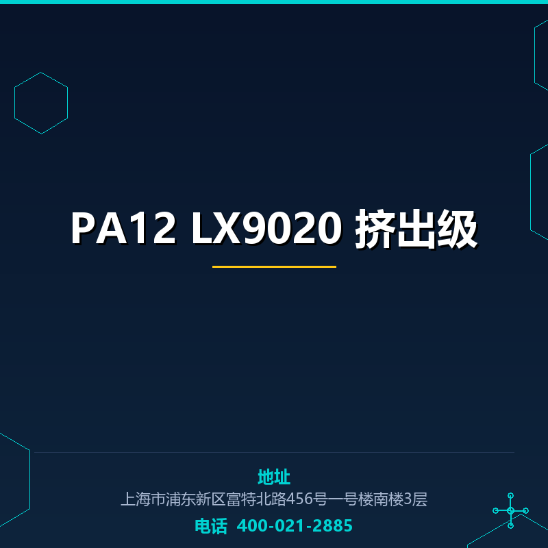 PA12 LX9020 挤出级 None