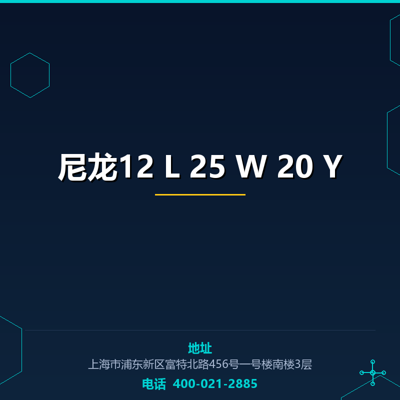 尼龙12 L 25 W 20 Y None