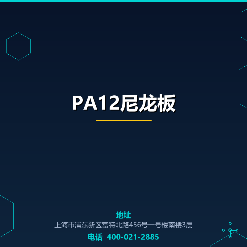 PA12尼龙板