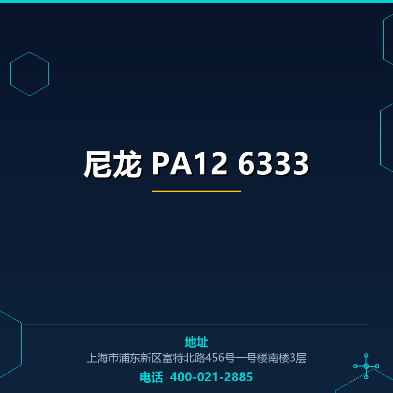 尼龙 PA12 6333 None
