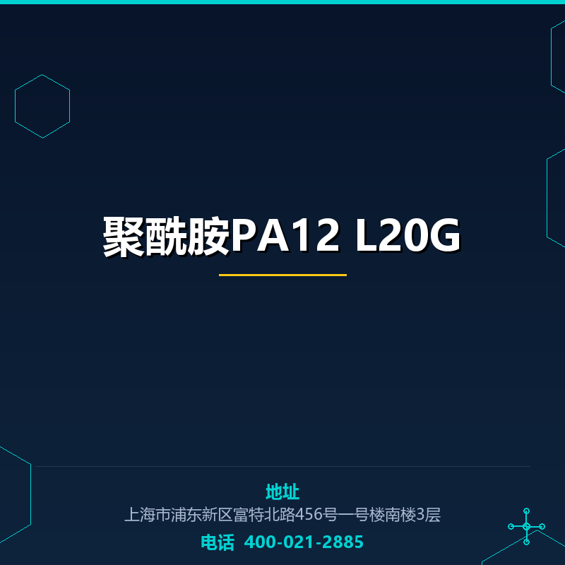 聚酰胺PA12 L20G None