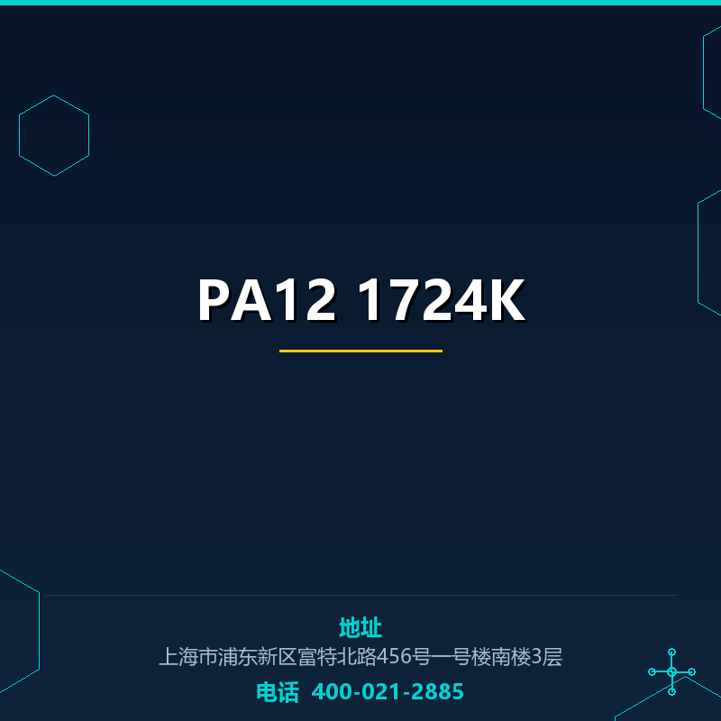 PA12 1724K None