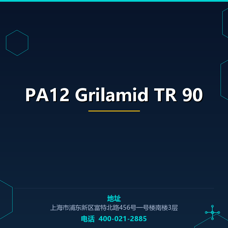 PA12 Grilamid TR 90 None