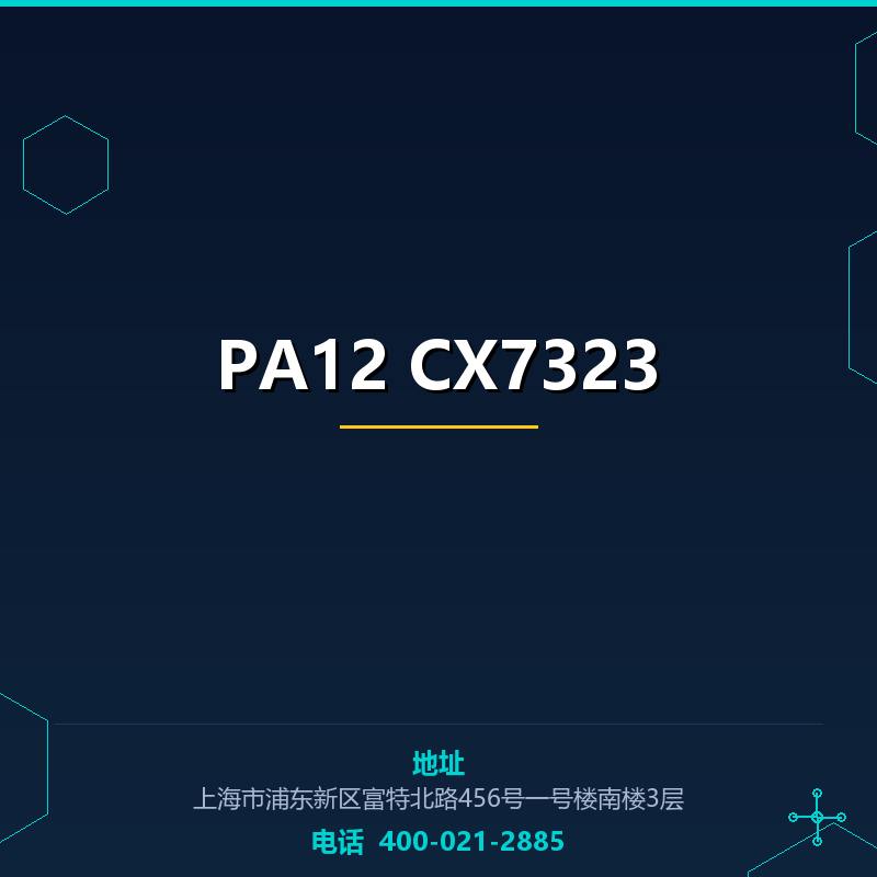 PA12 CX7323 None