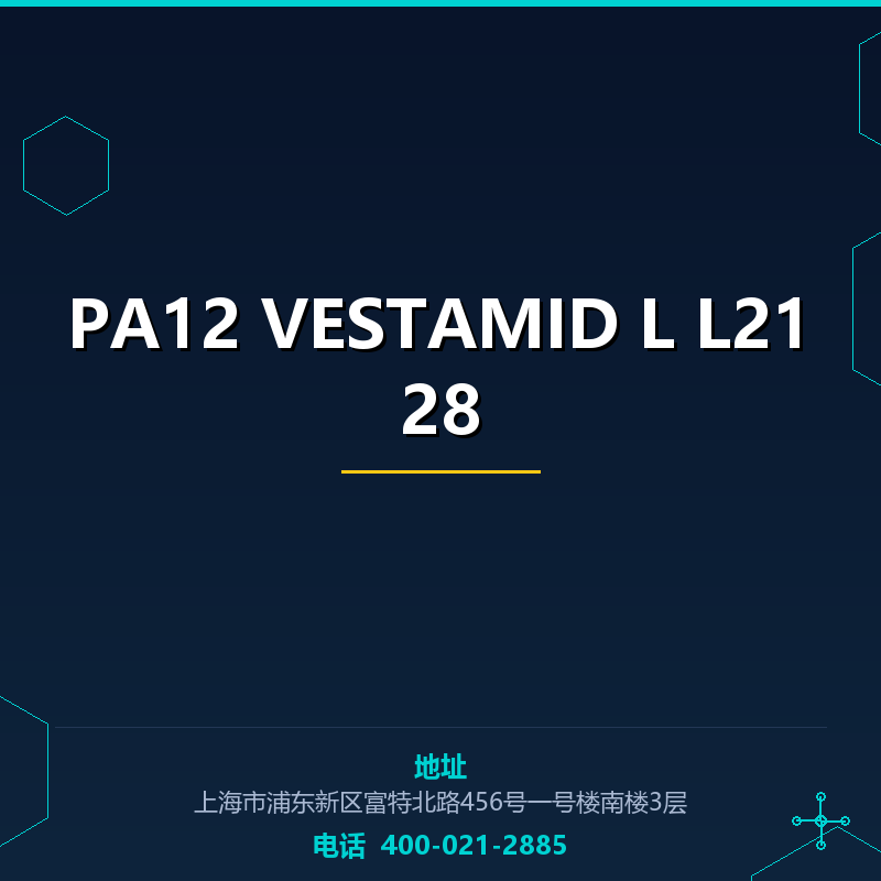 PA12 VESTAMID L L2128 None