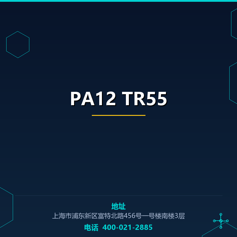 PA12 TR55 None