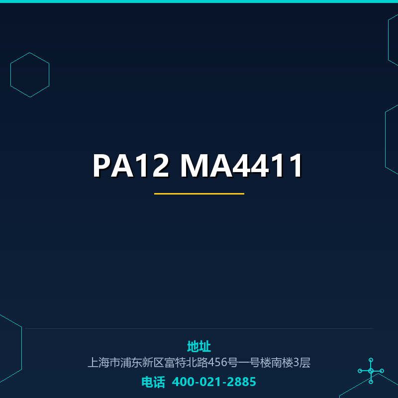 PA12 MA4411 None