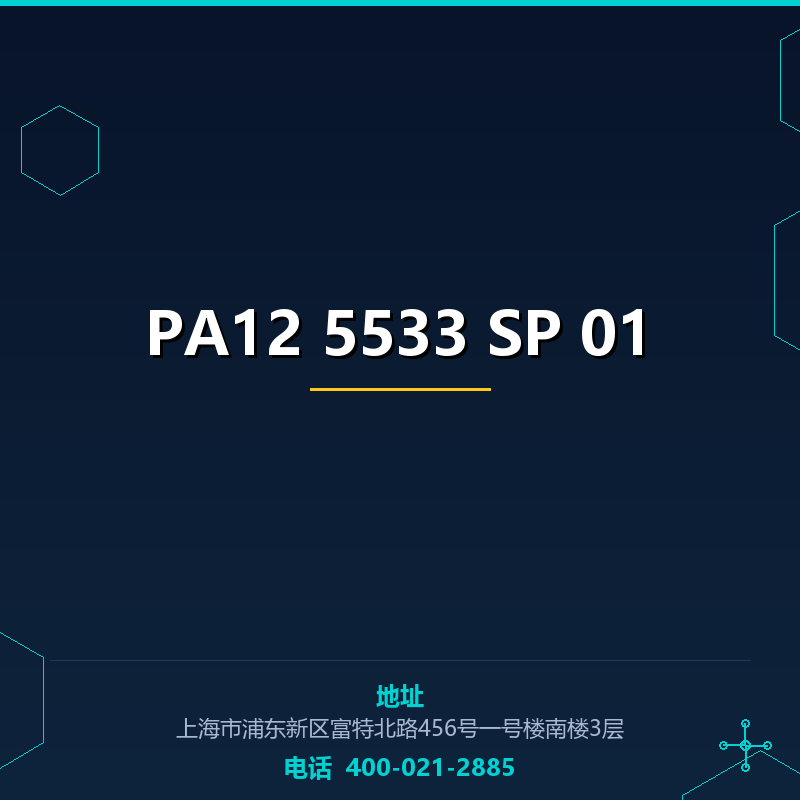 PA12 5533 SP 01 None