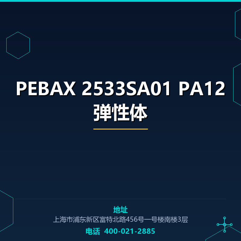 PEBAX 2533SA01 PA12弹性体 None