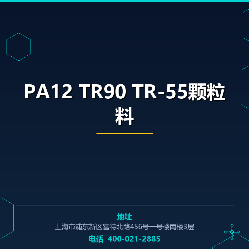PA12 TR90 TR-55颗粒料 None